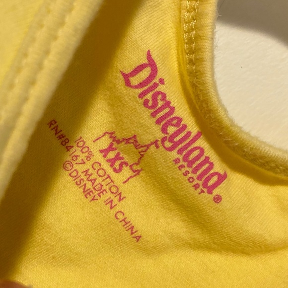 RARE Disneyland Resorts Tinker Bell Dress - Picture 12 of 13